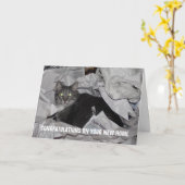 Nieuw startpunt kaart (Gele Bloem)