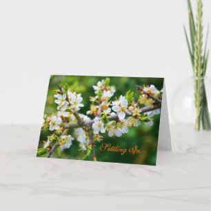 Nieuw thuis - Sun-Dapped Spring Hawthorn Aankondiging