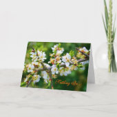 Nieuw thuis - Sun-Dapped Spring Hawthorn Aankondiging (Voorkant)