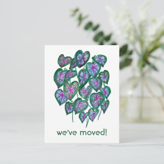 NIEUW THUISADRES Caladium laat Waterverf beeld Briefkaart (Staand voorkant)