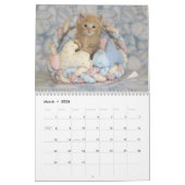 ****NIEUW voor 2016!!! **** Rescue Kat Agenda Kalender (Mar 2026)