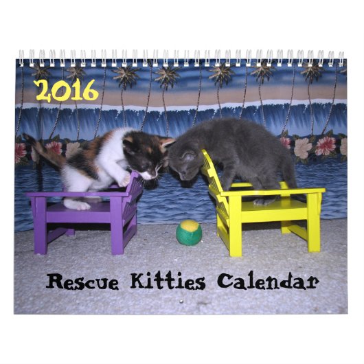 ****NIEUW voor 2016!!! **** Rescue Kat Agenda Kalender (Hoes)