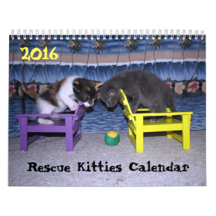 ****NIEUW voor 2016!!! **** Rescue Kat Agenda Kalender