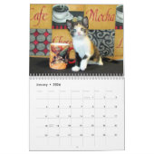 ****NIEUW voor 2016!!! **** Rescue Kat Agenda Kalender (Jan 2026)