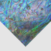 NIEUW-ZEALAND KIWI PAUA TISSUEPAPIER (Detail)