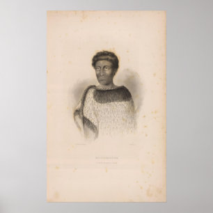 Nieuw-Zeeland 2 Poster