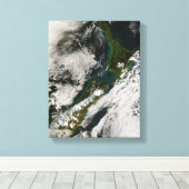 Nieuw-Zeeland 3 Canvas Afdruk (Insitu (Houten vloer))