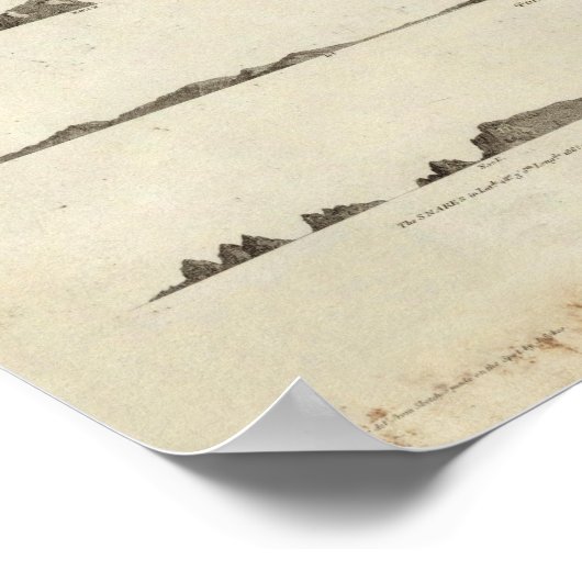 Nieuw-Zeeland 4 Poster (Hoek)