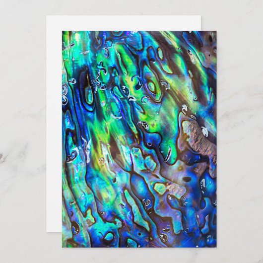 Nieuw-Zeeland Abalone Paua Shell Pattern 1 (Voorkant / Achterkant)