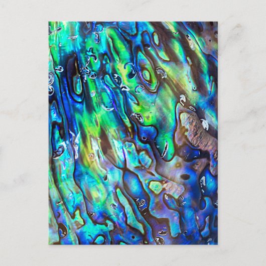 Nieuw-Zeeland Abalone Paua Shell Pattern 1 Briefkaart (Voorkant)