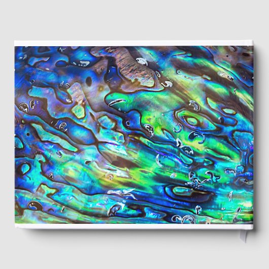 Nieuw-Zeeland Abalone Paua Shell Pattern 1 Gastenboek (Achterkant)