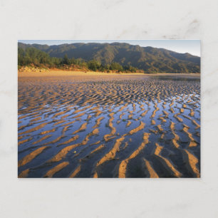 Nieuw-Zeeland, Abel Tasman National Park, Kust 2 Briefkaart