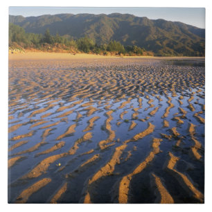Nieuw-Zeeland, Abel Tasman National Park, Kust 2 Tegeltje