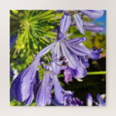 Nieuw-Zeeland Agapanthus Violet Flower Blooming Legpuzzel (Horizontaal)