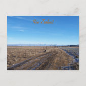 Nieuw-Zeeland Briefkaart (Voorkant)