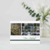 Nieuw-Zeeland Briefkaart (Staand voorkant)