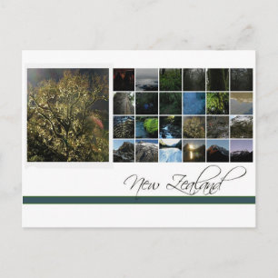 Nieuw-Zeeland Briefkaart