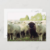 Nieuw-Zeeland Briefkaart (Voorkant / Achterkant)