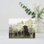 Nieuw-Zeeland Briefkaart (Staand voorkant)