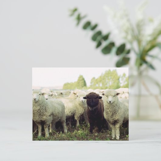 Nieuw-Zeeland Briefkaart (Staand voorkant)