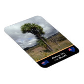 Nieuw-Zeeland - Cabbage Tree, reis / wilde natuur Magneet (Rechterzijde)