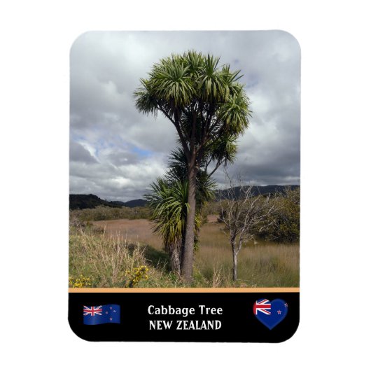 Nieuw-Zeeland - Cabbage Tree, reis / wilde natuur Magneet (Verticaal)