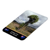 Nieuw-Zeeland - Cabbage Tree, reis / wilde natuur Magneet (Linkerzijde)