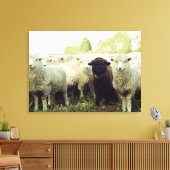 Nieuw-Zeeland Canvas Afdruk (Insitu (Woonkamer))
