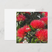 Nieuw-Zeeland die Kaarten voor kerstmis in Pohutuk (Voorkant / Achterkant)