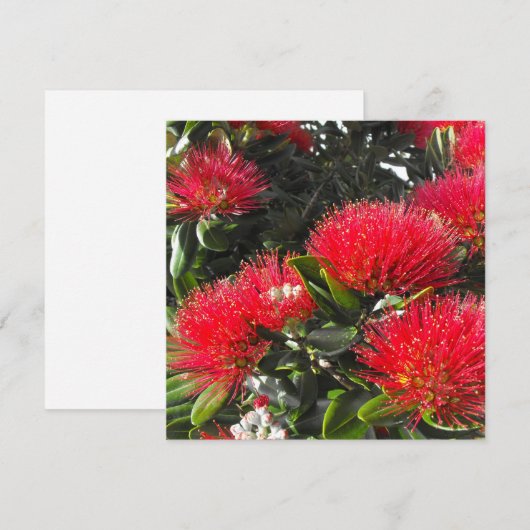 Nieuw-Zeeland die Kaarten voor kerstmis in Pohutuk (Voorkant / Achterkant)