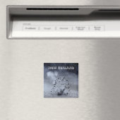 Nieuw-Zeeland - Exploding Mud (Fridge Magnet) Magneet (Insitu (Vaatwasser))