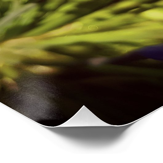 Nieuw-Zeeland Floral Agapanthus Violet Blossom Perfect Poster (Hoek)