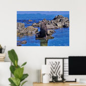 Nieuw-Zeeland Fur Seal Poster (Thuiskantoor)