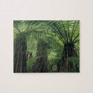 Nieuw-Zeeland, Haast-vallei, Westland, Zachte Boom Legpuzzel