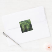 Nieuw-Zeeland, Haast Valley, Westland, Zachte boom Vierkante Sticker (Envelop)