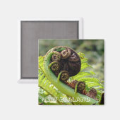 Nieuw-Zeeland, Iconic fern leaf (Fridge Magnet) Magneet (Voorkant / Achterkant)