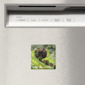 Nieuw-Zeeland, Iconic fern leaf (Fridge Magnet) Magneet (Insitu (Vaatwasser))