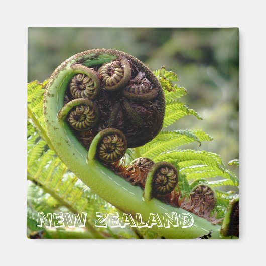 Nieuw-Zeeland, Iconic fern leaf (Fridge Magnet) Magneet (Voorkant)