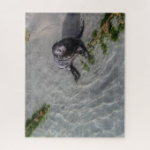 Nieuw-Zeeland Jigzaag Puzzle - Seal pup Whariki Legpuzzel (Verticaal)