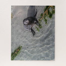 Nieuw-Zeeland Jigzaag Puzzle - Seal pup Whariki Legpuzzel