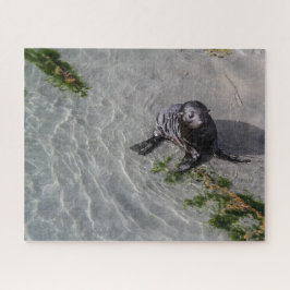 Nieuw-Zeeland Jigzaag Puzzle - Seal pup Whariki Legpuzzel