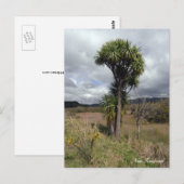 Nieuw-Zeeland, kool, inheemse Natuur Briefkaart (Voorkant / Achterkant)