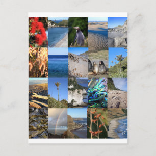 Nieuw-Zeeland kust landschap Kiwiana Briefkaart