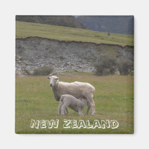 Nieuw-Zeeland, lamsvoer (Fridge Magnet) Magneet