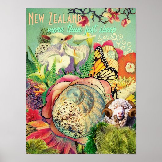 Nieuw-Zeeland meer dan alleen schapen Poster (Voorkant)