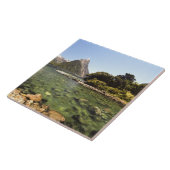 Nieuw-Zeeland, Miter Peak en Bowen die de rivier b Tegeltje (Zijkant)