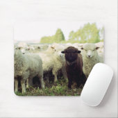 Nieuw-Zeeland Muismat (Met muis)