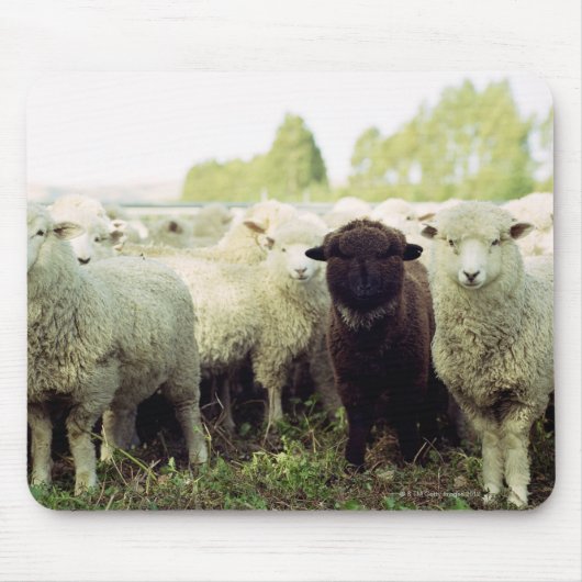 Nieuw-Zeeland Muismat (Voorkant)