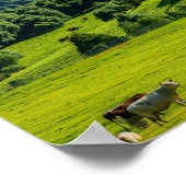 Nieuw-Zeeland Natuurlandschap: een ver Uitzicht Poster (Hoek)