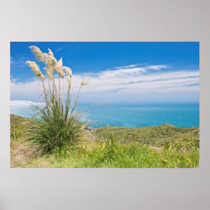 Nieuw-Zeeland, Noord-eiland, Cape Reinga 2 Poster